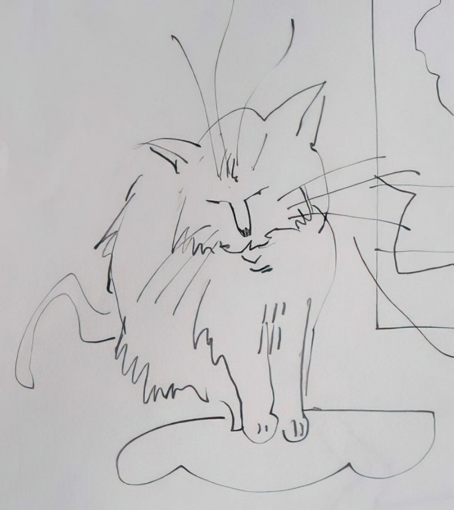 A pencil drawing of a cat.