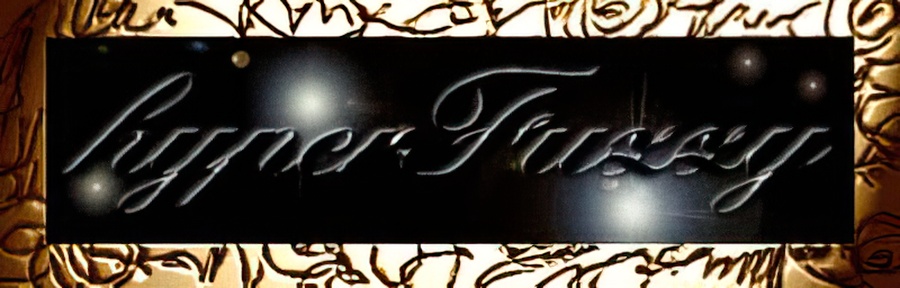 The hyperFuzzy website banner.