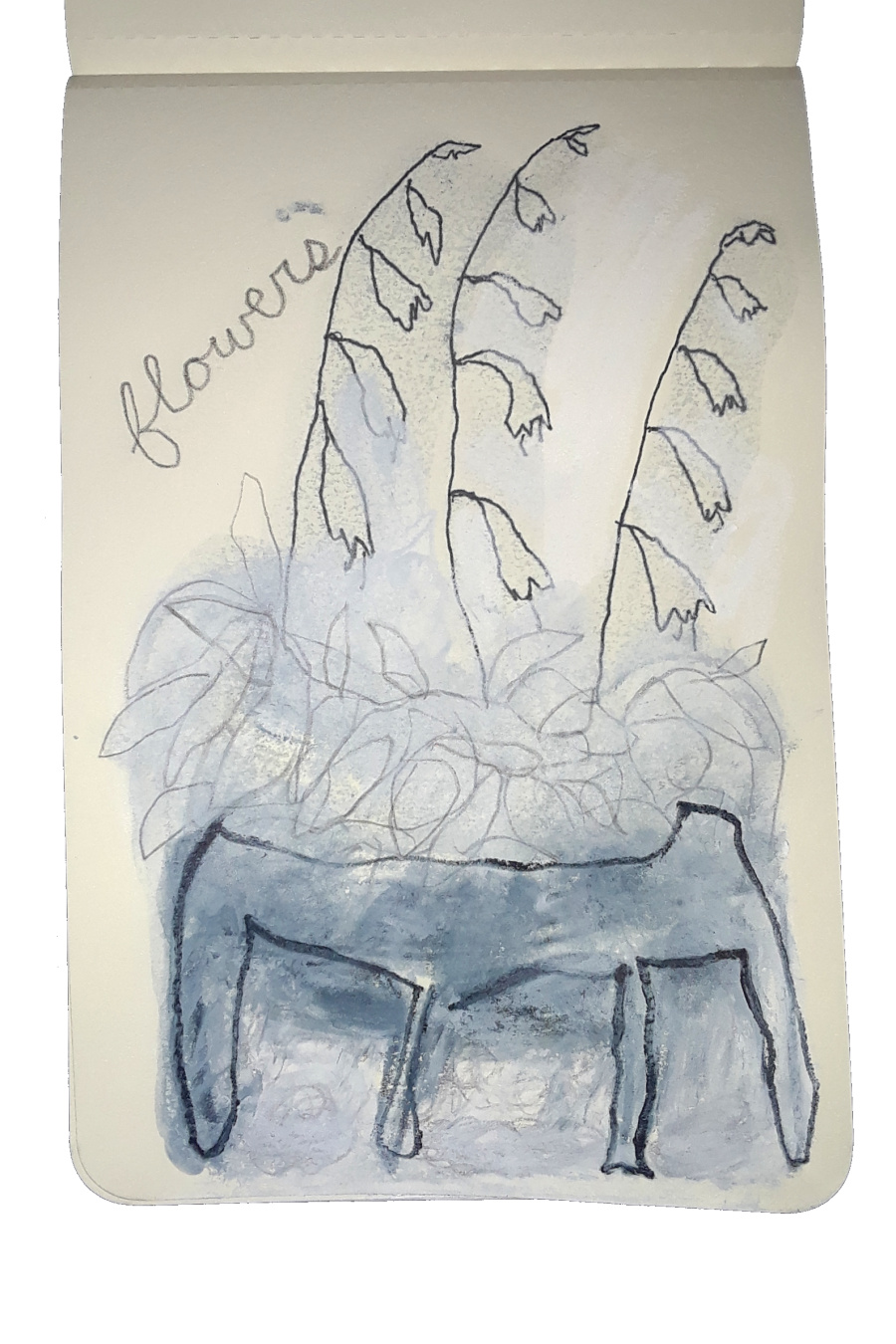 2024-06-26 01