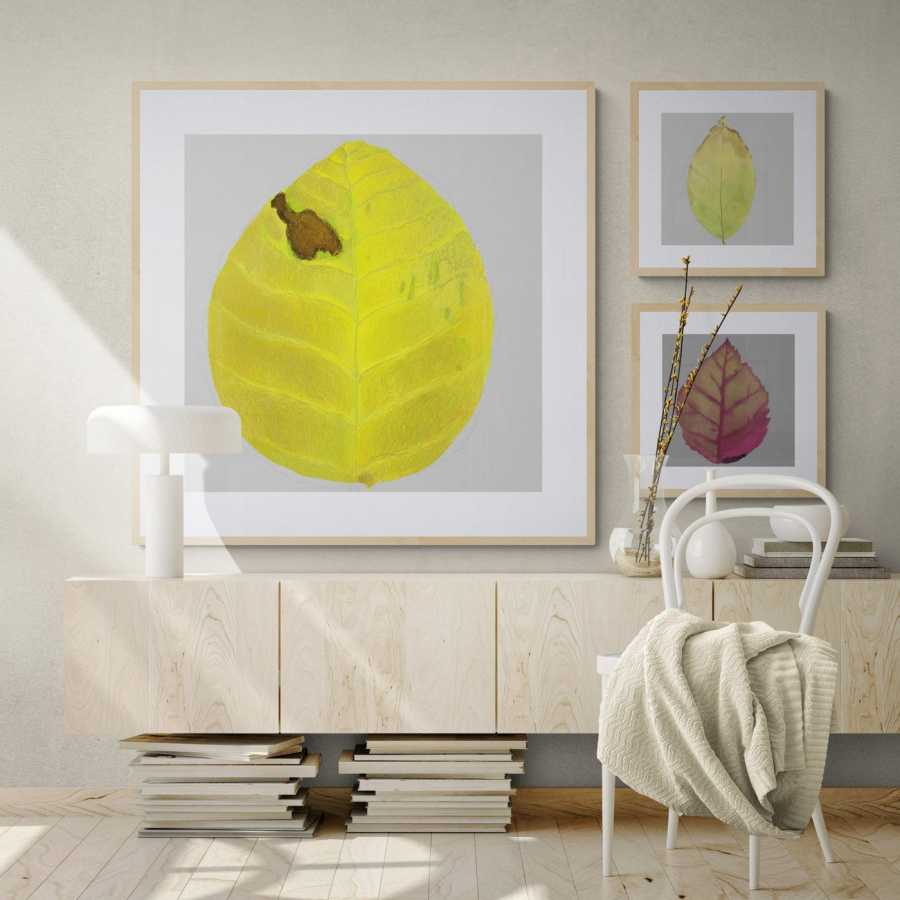 room with prints